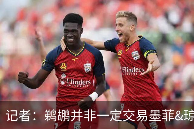 记者：鹈鹕并非一定交易墨菲&琼斯但两人吸引力太大&可换巨大回报